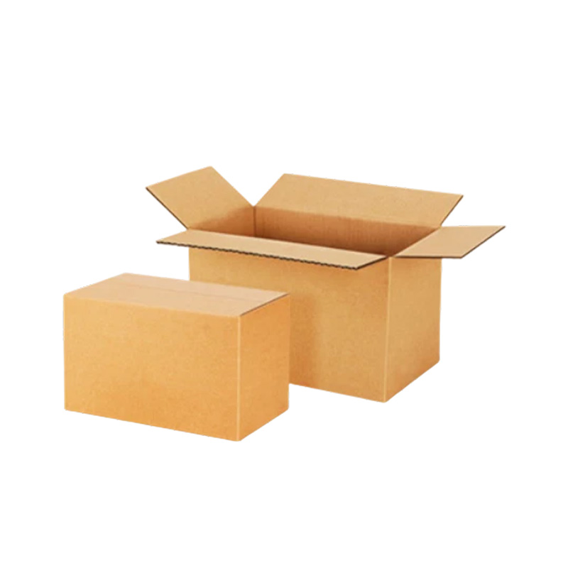 Carton Custom Size Logo Style